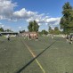 Alton Football Club